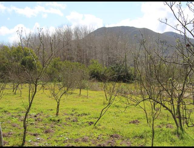 37HA FARM FOR SALE IN CALEDON RURAL